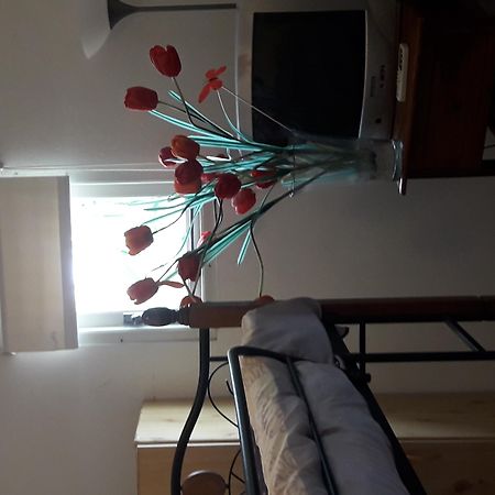 Palmita Hotel Hostel Oranjestad Eksteriør billede