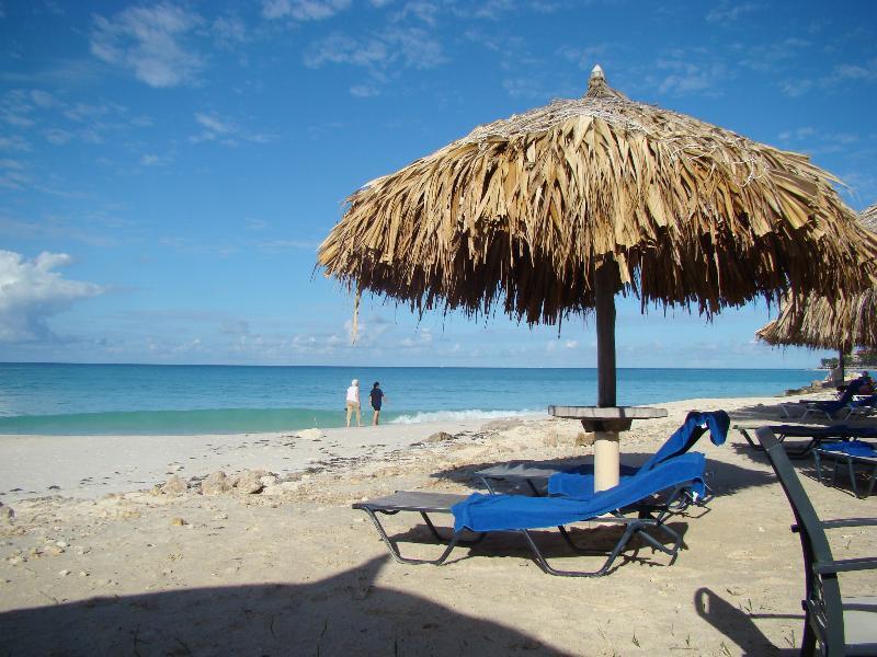 Palmita Hotel Hostel Oranjestad Eksteriør billede