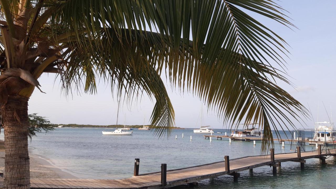 Palmita Hotel Hostel Oranjestad Eksteriør billede