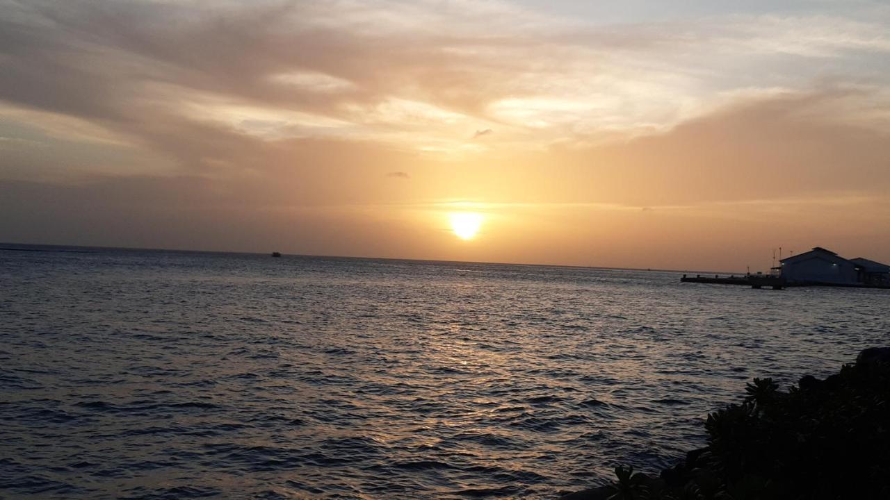 Palmita Hotel Hostel Oranjestad Eksteriør billede