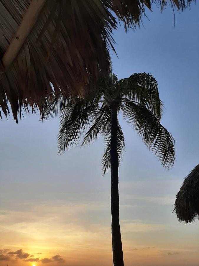 Palmita Hotel Hostel Oranjestad Eksteriør billede