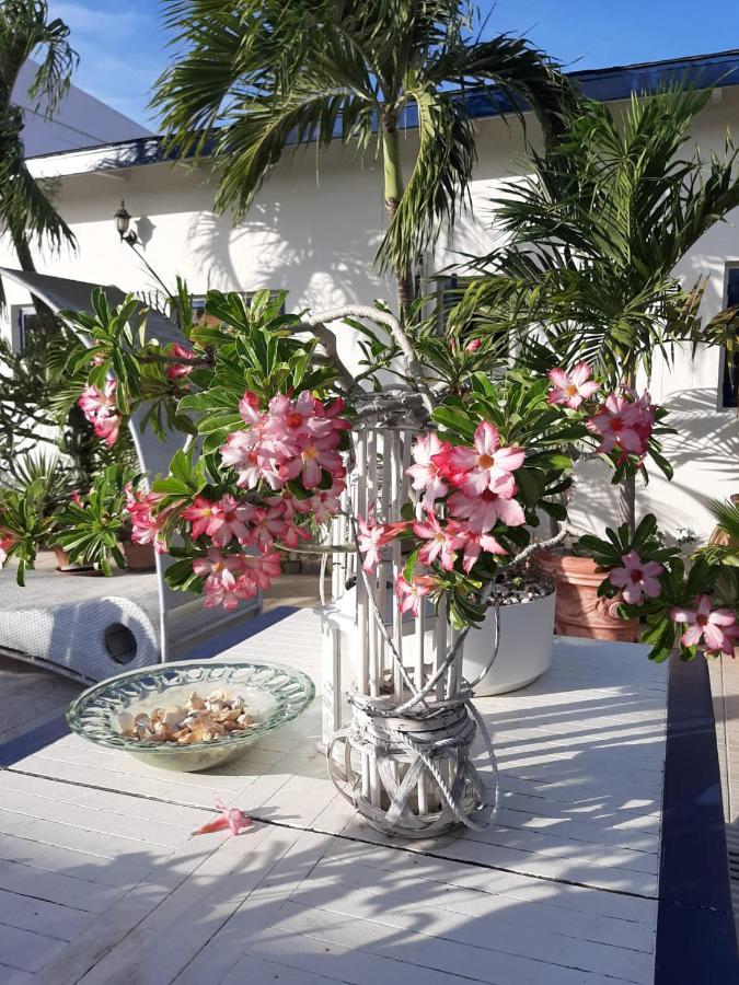 Palmita Hotel Hostel Oranjestad Eksteriør billede