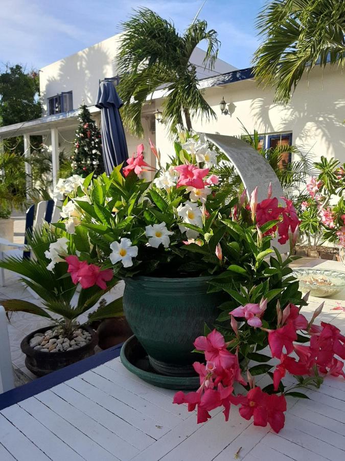 Palmita Hotel Hostel Oranjestad Eksteriør billede