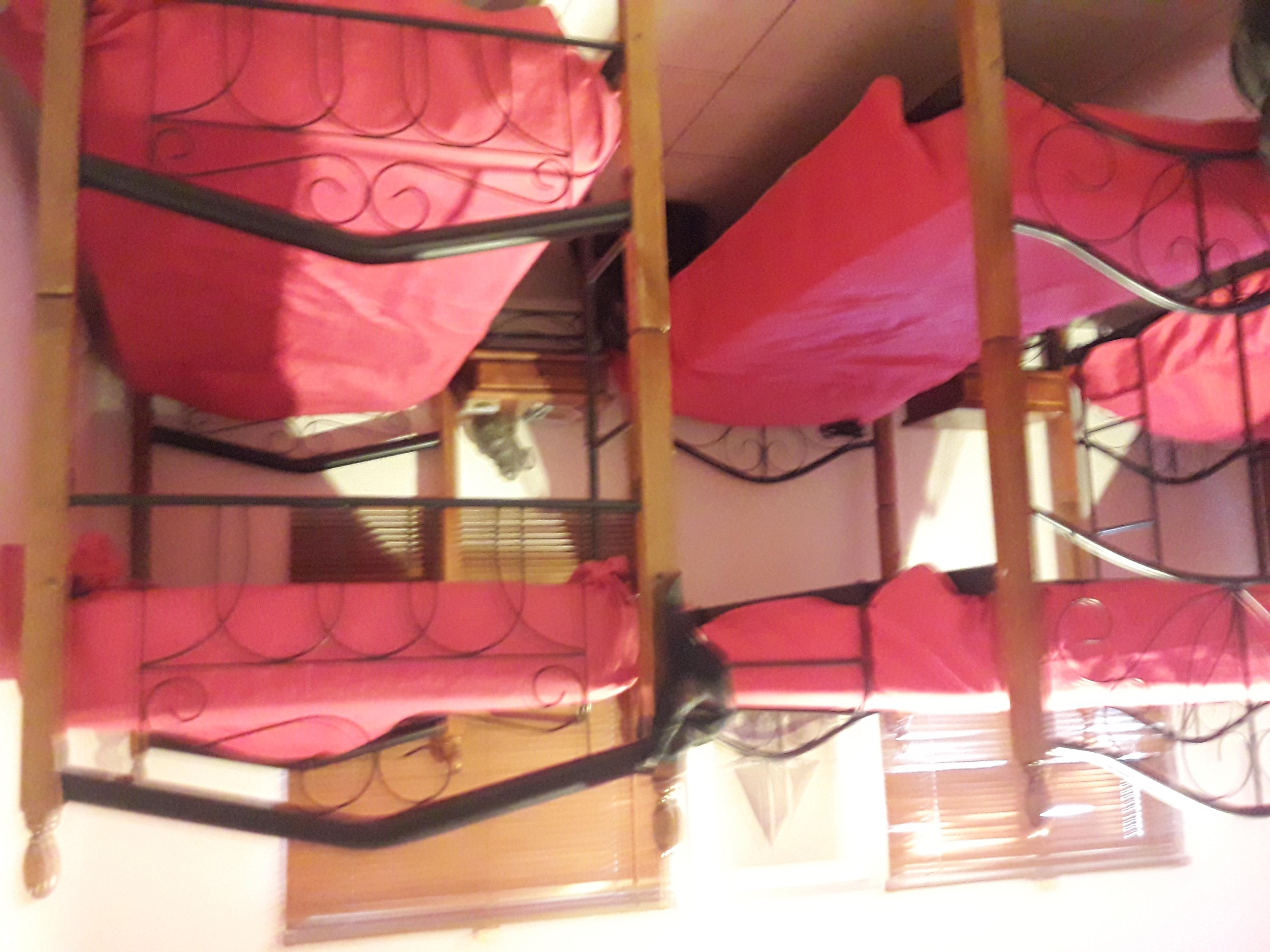 Palmita Hotel Hostel Oranjestad Eksteriør billede