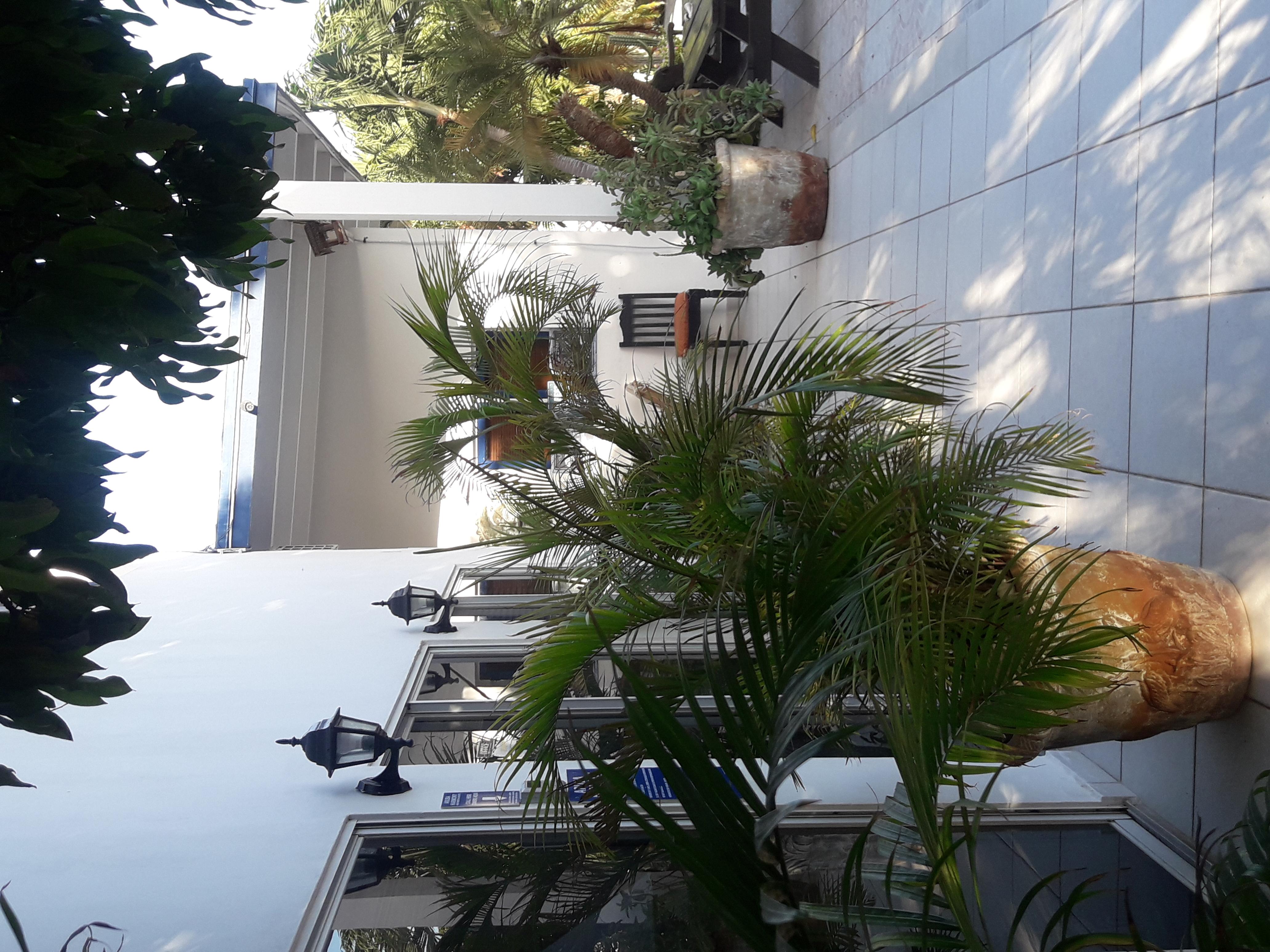 Palmita Hotel Hostel Oranjestad Eksteriør billede