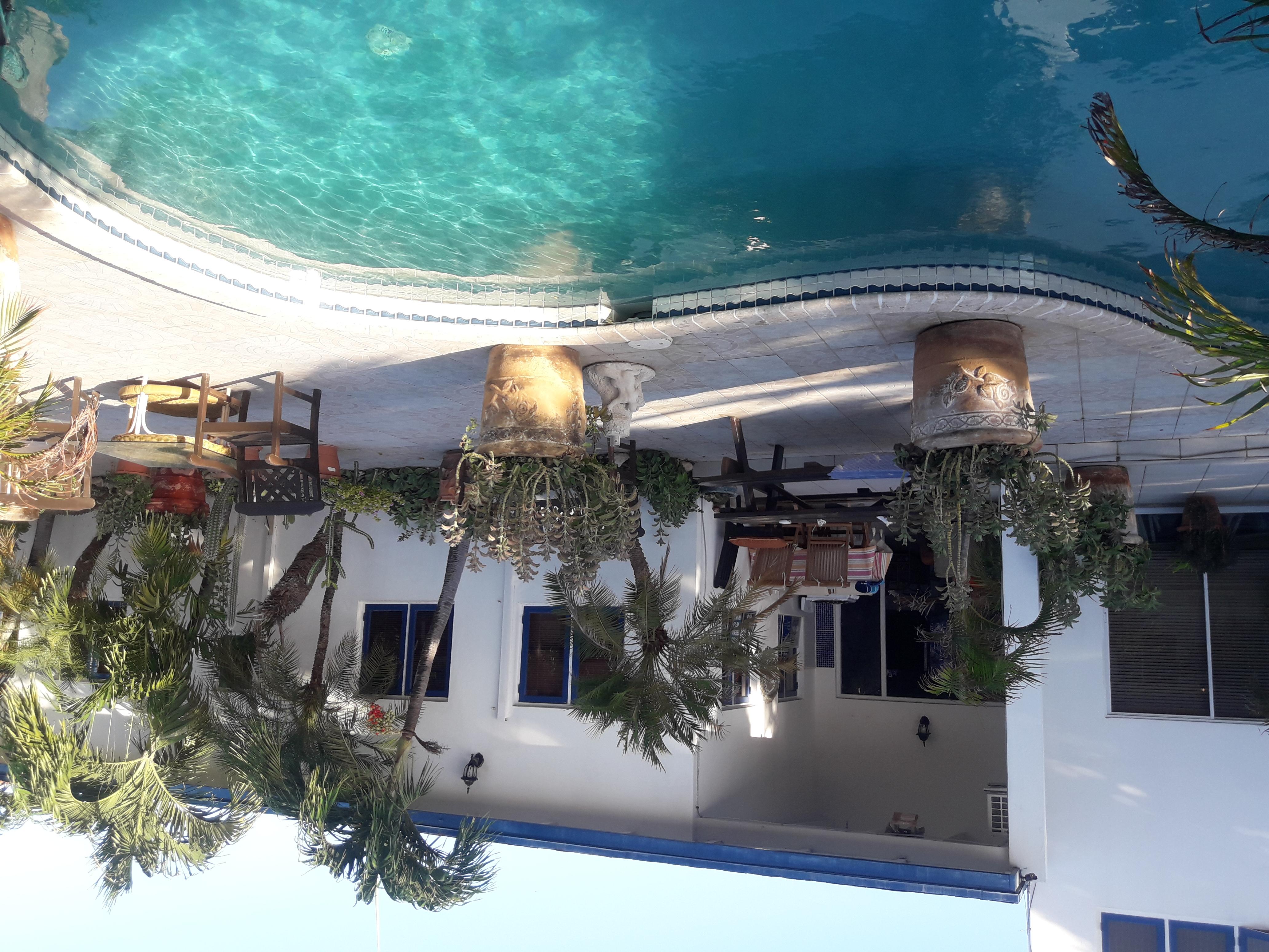 Palmita Hotel Hostel Oranjestad Eksteriør billede