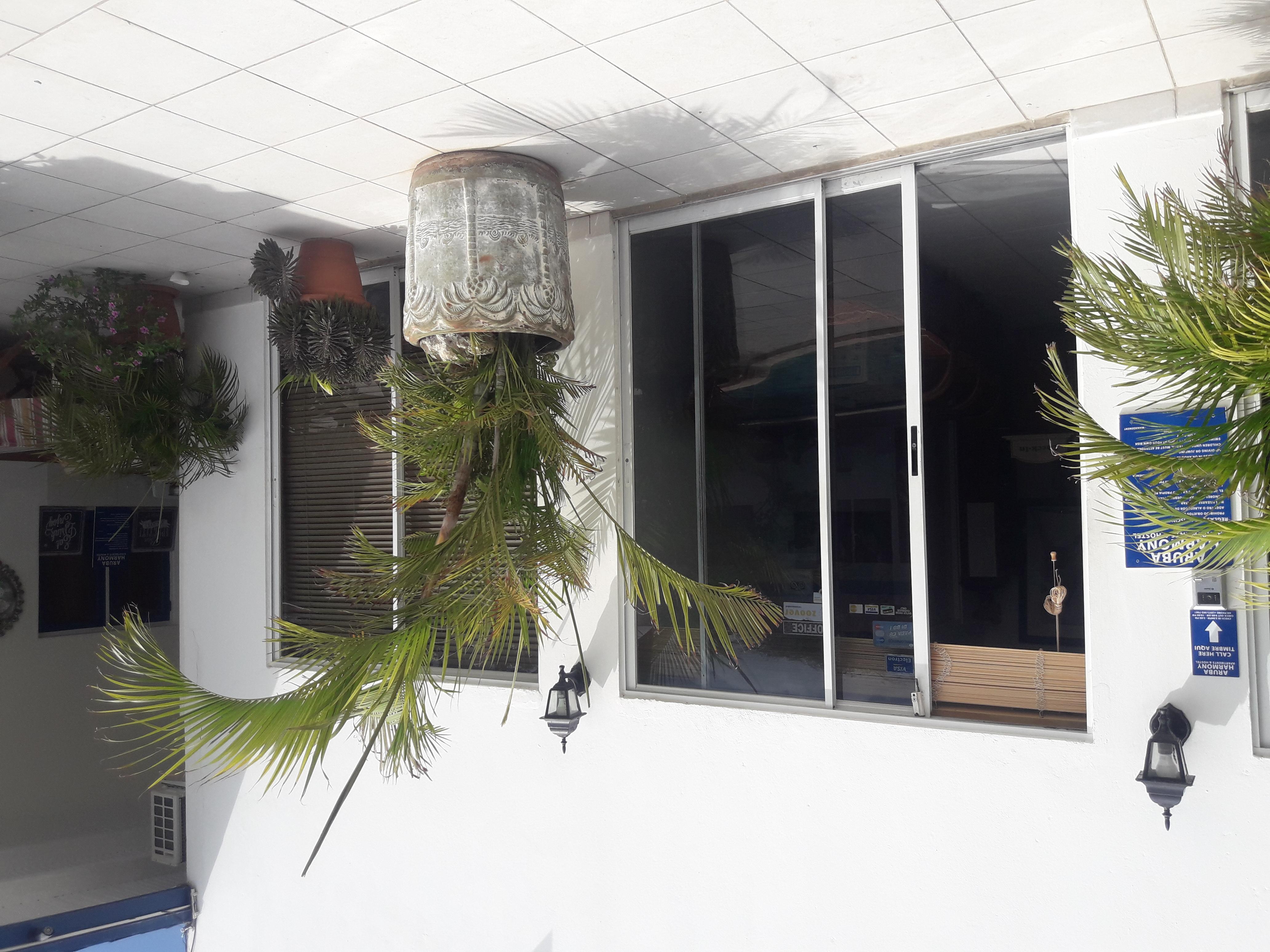 Palmita Hotel Hostel Oranjestad Eksteriør billede