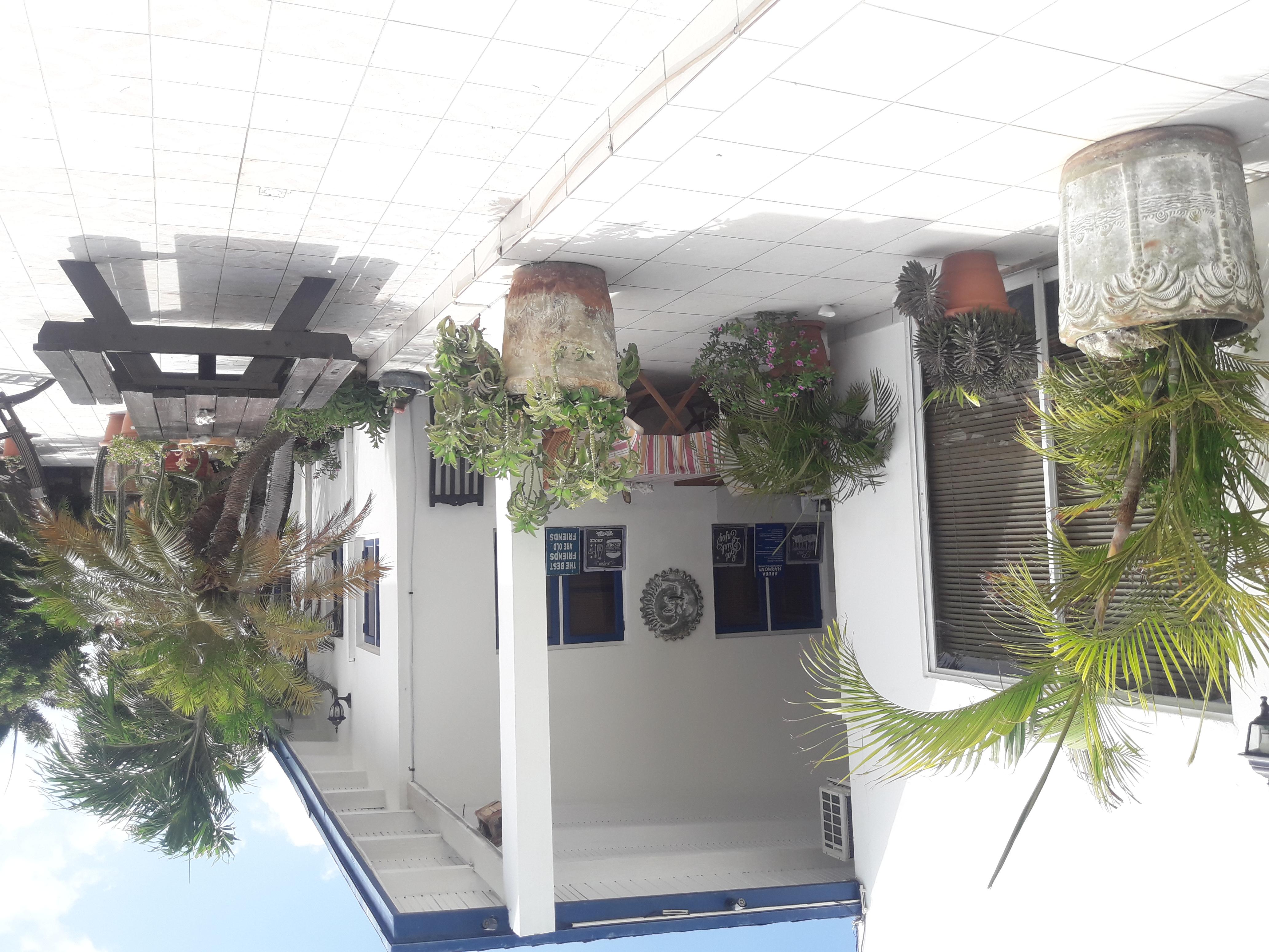 Palmita Hotel Hostel Oranjestad Eksteriør billede