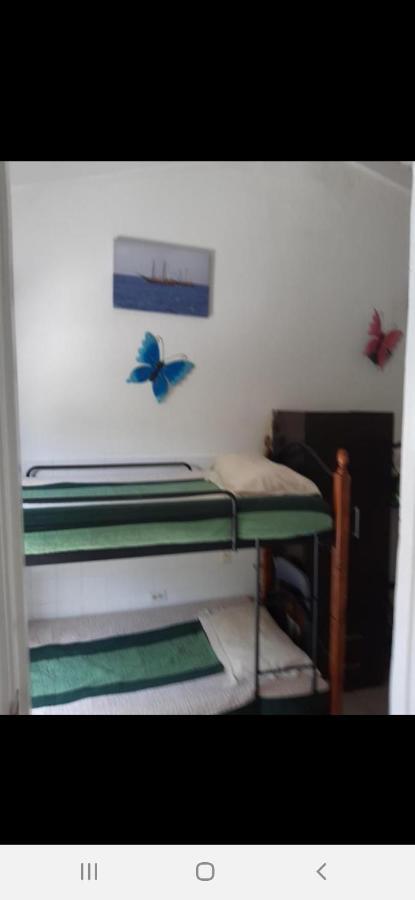 Palmita Hotel Hostel Oranjestad Værelse billede