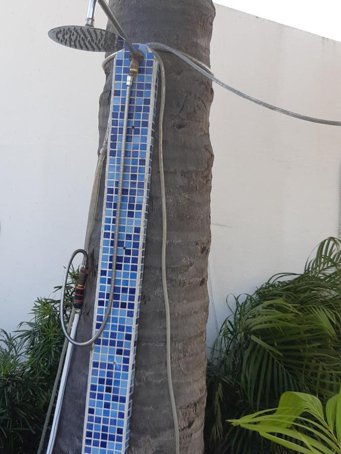 Palmita Hotel Hostel Oranjestad Eksteriør billede